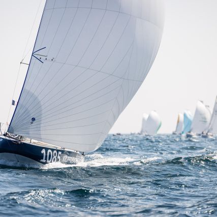 WhatsApp Image 2025 04 10 at 14.17.33